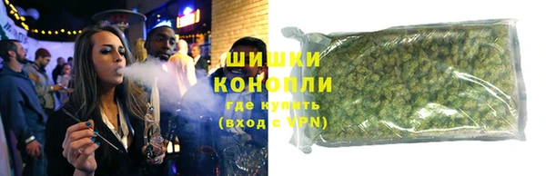 прущие грибы Абинск