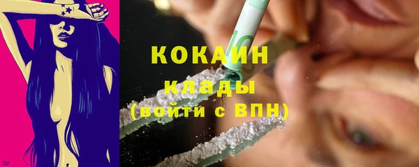 прущие грибы Абинск