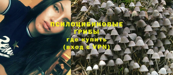 ПСИЛОЦИБИНОВЫЕ ГРИБЫ Абдулино