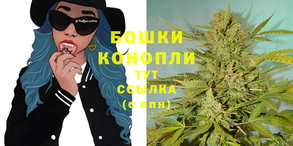 прущие грибы Абинск