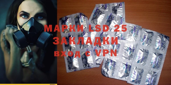 прущие грибы Абинск